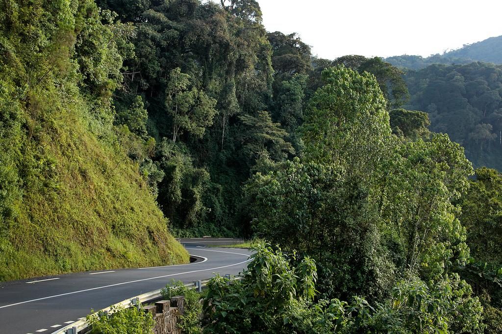 Nyungwe Forest National Park